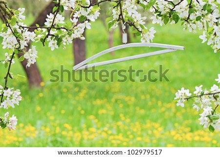 clothes hanger on a branch of blooming apple trees