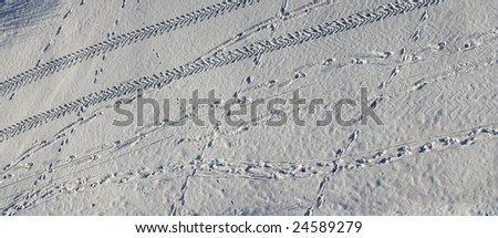 Traces of the people, animal, transport, on snow