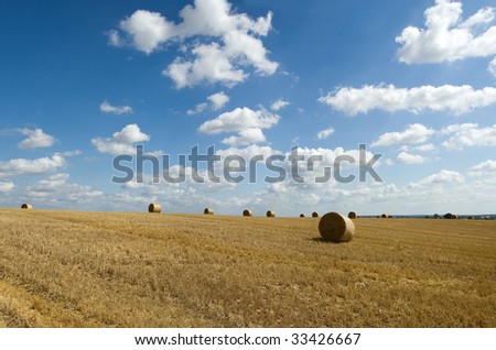 Field after the tax of a crop