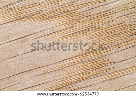 Natural finish oak wood grain textured background