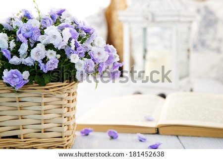 Plant with blue flowers on a table, a book and a lantern in the background
