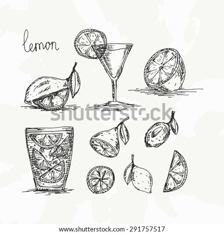 Lemon - Food - Drink - Sketch - Sketch drawn by hand.