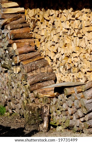 Fire wood in a shed.