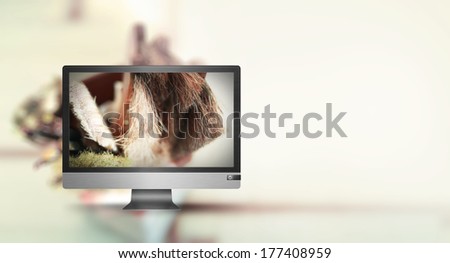 Monitor PC Computer