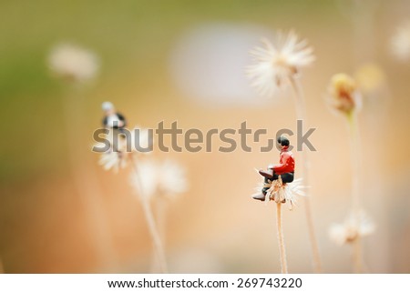 Close up of miniature,two man talking together on the flower like Dandelion. Shallow depth of field composition and soft pastel color.