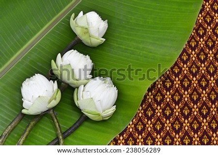 lotus on Thai pattern and banana leave