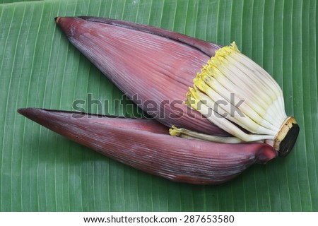 banana flower on banana leaf