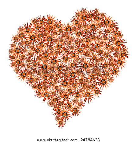 orange Heart from living flowers on a white background, to the day of Sainted Valentine