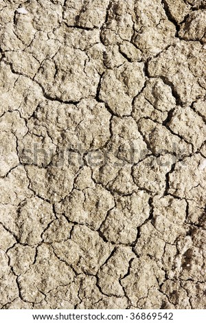 cracked clay texture, background