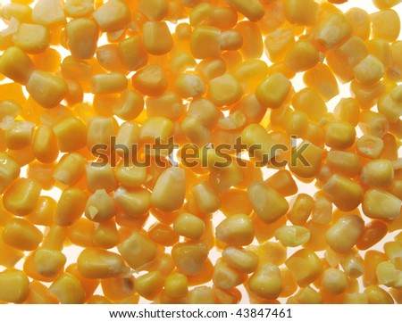 Texture yellow canned corn