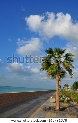 Palm Tree near the Dubai, United Emirates beach side with white cloud and blue sky.