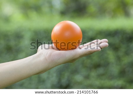 Hands of a woman holding a stress ball
