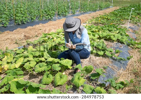 Biotechnology woman engineer examining plant leaf for disease!