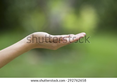 empty human hand with palms up