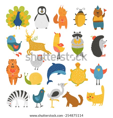 Cute animals collection, baby animals, animals vector. Cat, peacock, penguin, beetle, bear, bird, deer, raccoon, hedgehog, dolphin, heron, tortoise, zebra, dog, snail isolated on white background