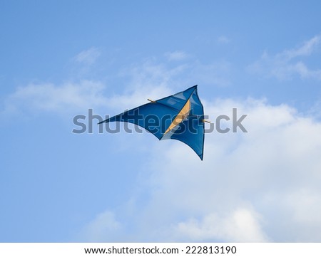 Kite Delta flying in blue sky