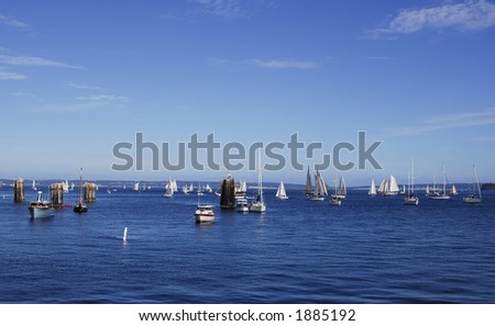 a crowded port scene at port townsend