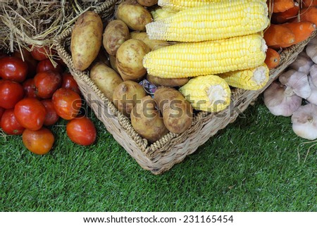 Groceries in wicker basket including vegetables, fruits
