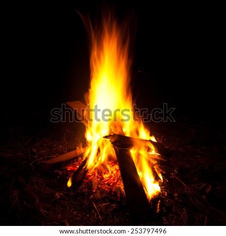 Camp fire at night/Camp fire