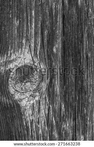 Wood texture in black and white/ Wood Background