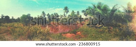 Coconut trees panorama with grunge style