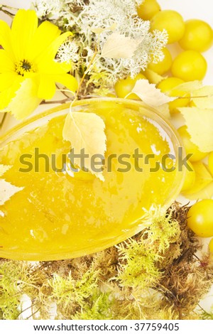 Jam of yellow cherry plums, fresh fruits, moss on white background