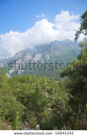 Beautiful mountain woods in southern Turkey near Kemer city