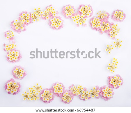 Framework of Pink Caprise Lantana flowers on white