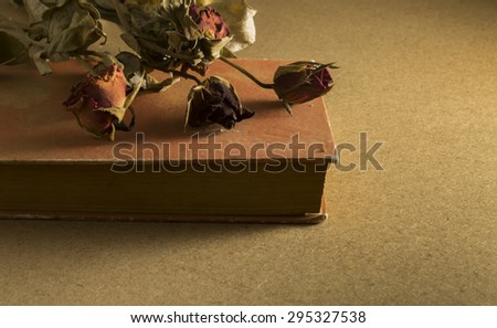 Vintage still life . Old roses and old book in the dark room. Lonely time.