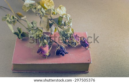 Vintage still life . Old wither roses and old book in the dark room. Lonely time.