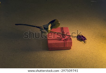 Vintage still life . Old roses and old red  box in the dark room. Lonely time.