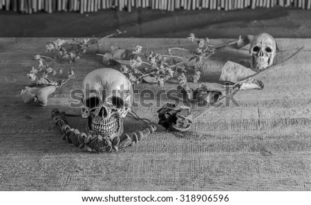 Still life with human skull black and white style . select focus.