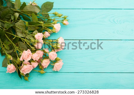 Beige vintage roses on blue wooden background