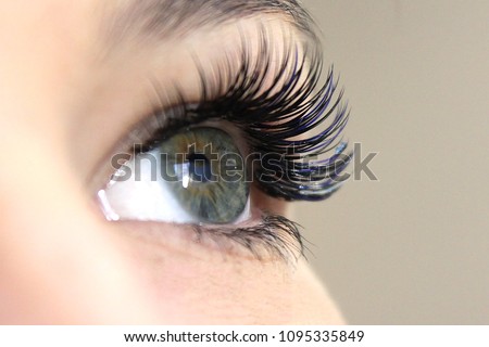 Eyelash Extension Procedure. Woman Eye with Long false Eyelashes. Close up macro shot of fashion eyes visagein in beauty salon.