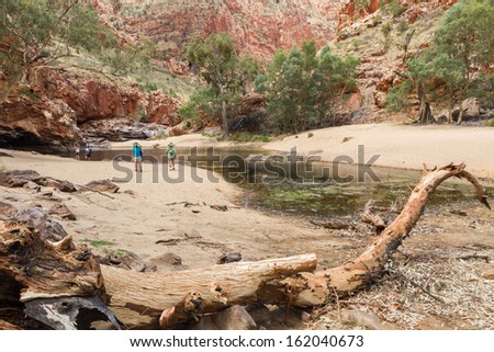 The oasis at Alice Springs , Australia