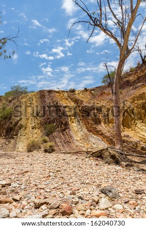The landscape of Alice Springs , Australia