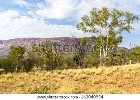 The landscape of Alice Springs , Australia