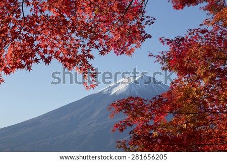 This photo was shot from the area around Mt.Fuji in Autumn. It is time to start snow cap on the top of Mt.Fuji and maple leaves change to autumn color.