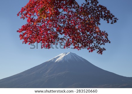 This photo was shot from the area around Mt.Fuji in Autumn. It is time to start snow cap on the top of Mt.Fuji and maple leaves change to autumn color. There are 5 lakes around Mt.Fuji.