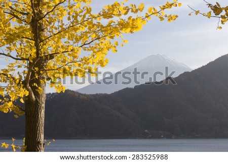This photo was shot from the area around Mt.Fuji in Autumn. It is time to start snow cap on the top of Mt.Fuji. There are 5 lake around Mt.Fuji.
