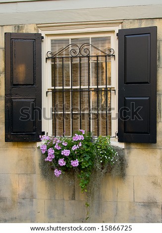 Window in old Downtown Charleston with a flower box in bloom.