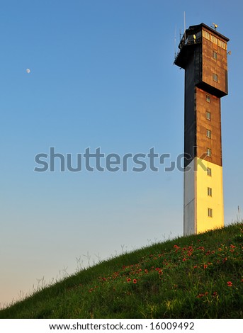 Sullivans Island Lighthouse with wildflowers and moon.