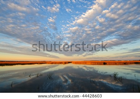 Streaming clouds reflected in a still marsh with sunlight on the reeds