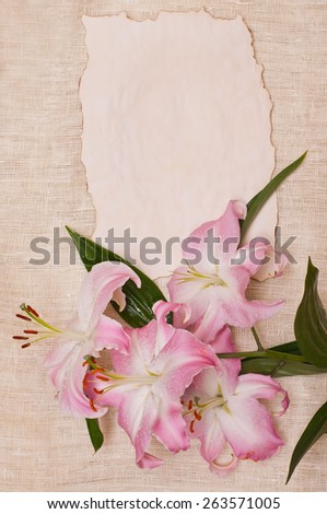 lily flower on paper background. congratulation with yellow lily flower in vintage style
