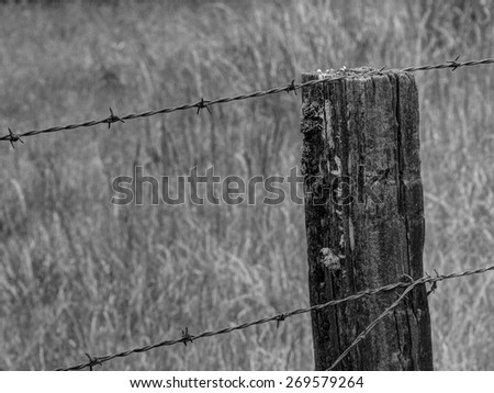 Rustic Fence Post in Black and White