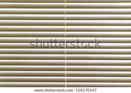 Window Venetian blinds as background.