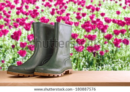 Rubber boots in flower garden. Working boots with tulips garden in background. Gardening concept.