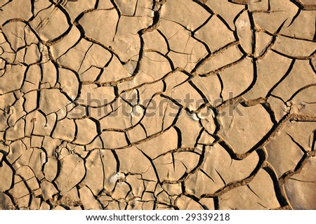 a close up of a dirt ground, dry land, texture, background.