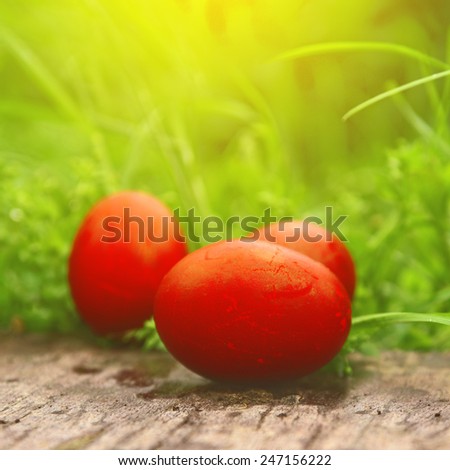 Red Easter Eggs in green grass. Happy Easter, Christian religious holiday.
