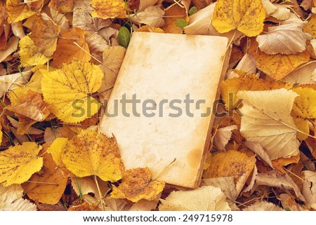 Vintage book with blank covers as copy space on fallen autumn leaves background